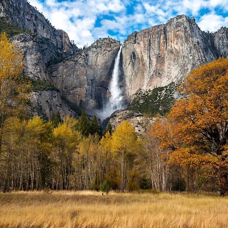 Вілла High End A-Frame - Hot Tub - Awesome Views - Yosemite - Electric Vehicle Friendly - Sleeps 10 Окгерст Екстер'єр фото