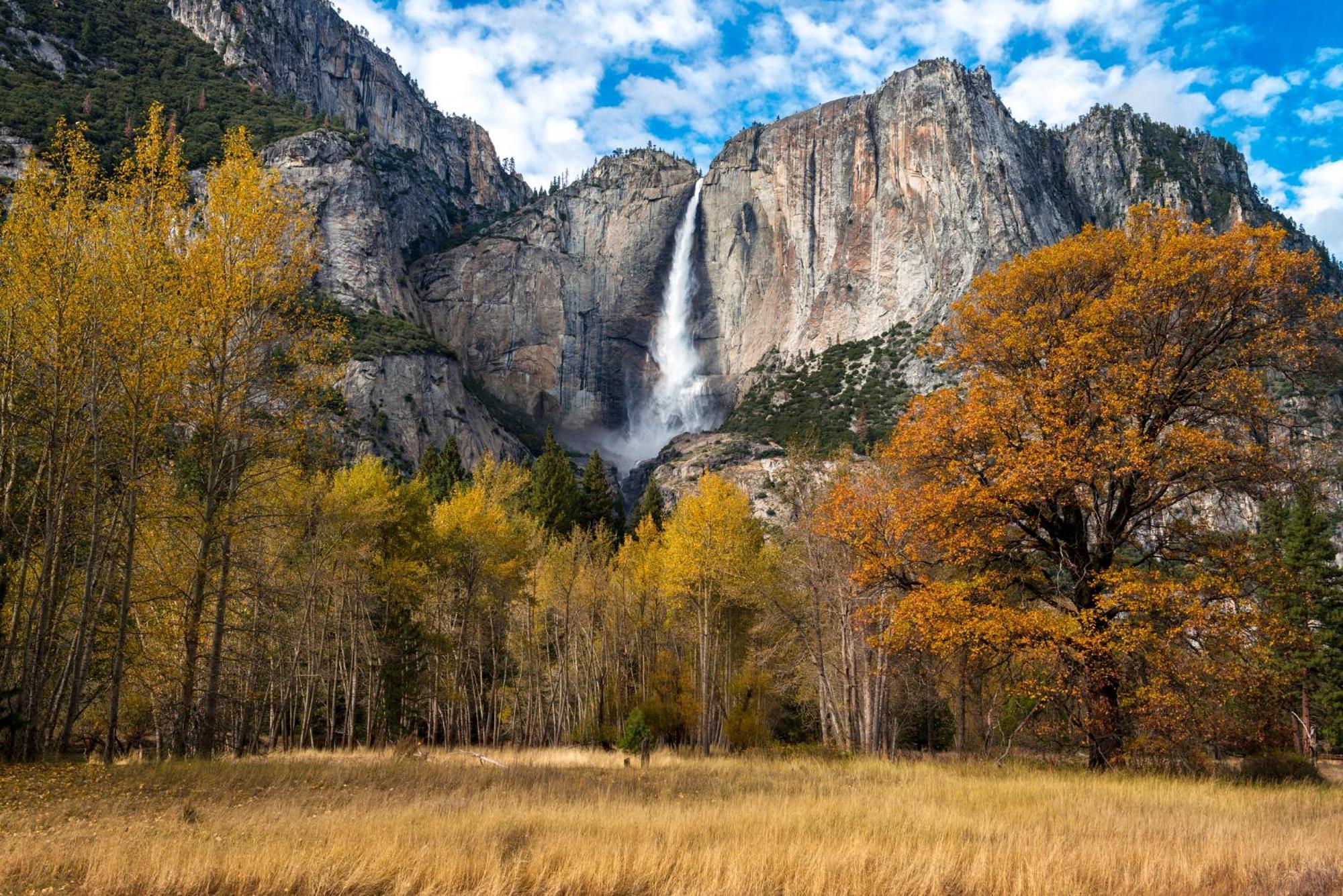 Вілла High End A-Frame - Hot Tub - Awesome Views - Yosemite - Electric Vehicle Friendly - Sleeps 10 Окгерст Екстер'єр фото
